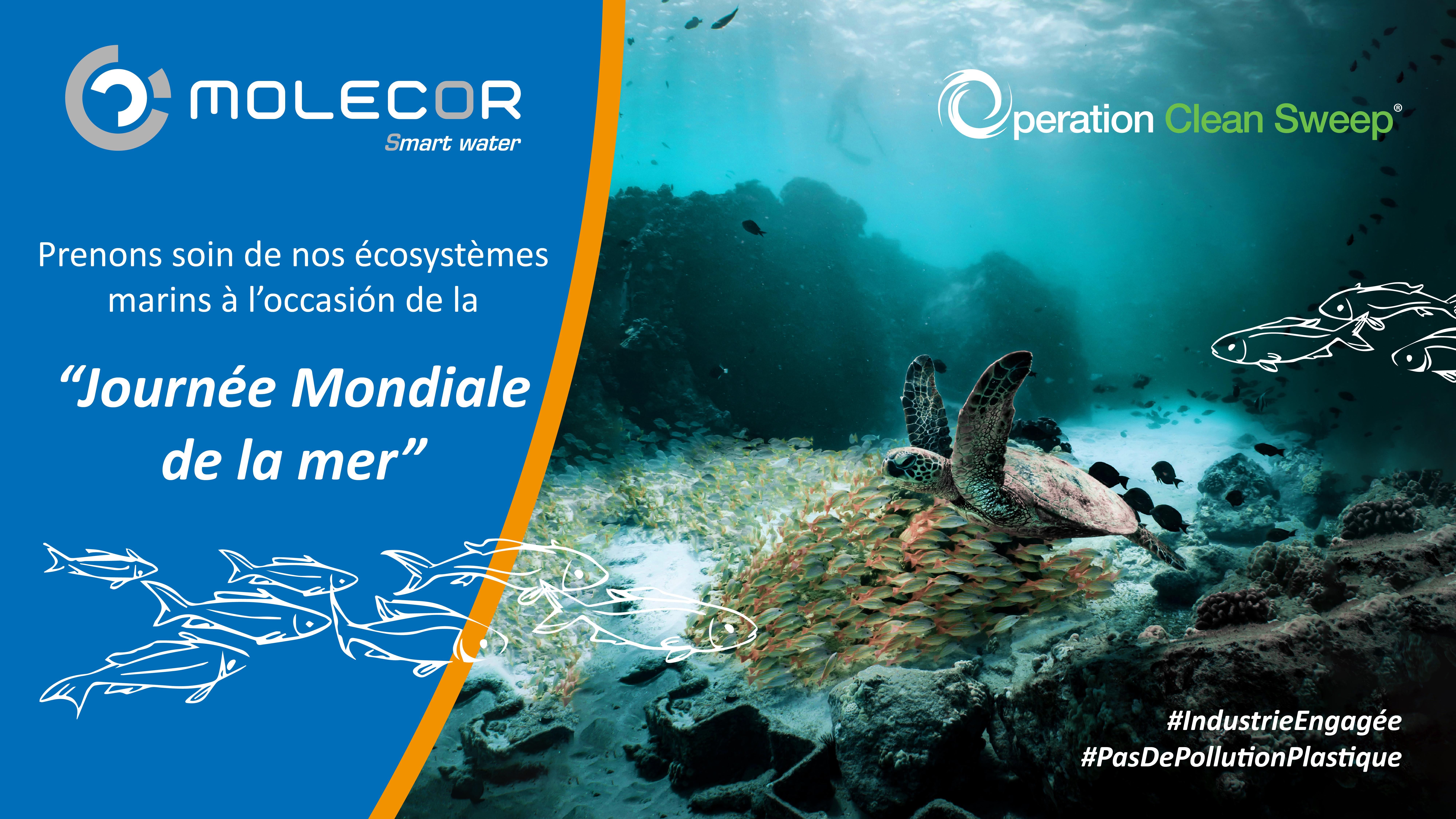 Molecor s'associe à la préservation des écosystèmes marins à l'occasion de la « Journée mondiale des océans » grâce au programme Operation Clean Sweep