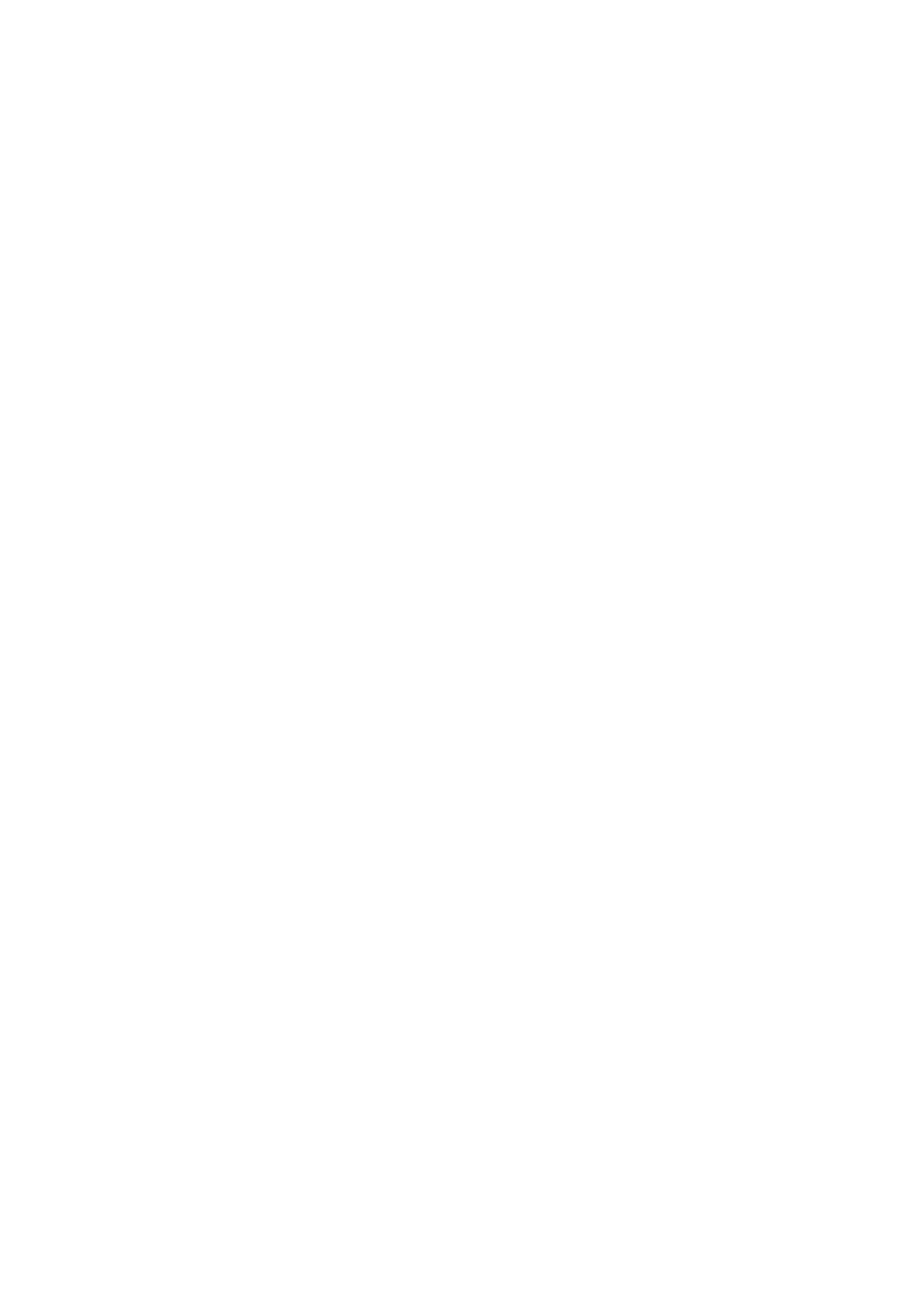 rigidez SN8