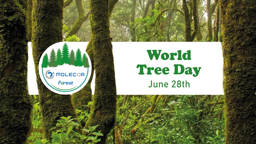 Tree day