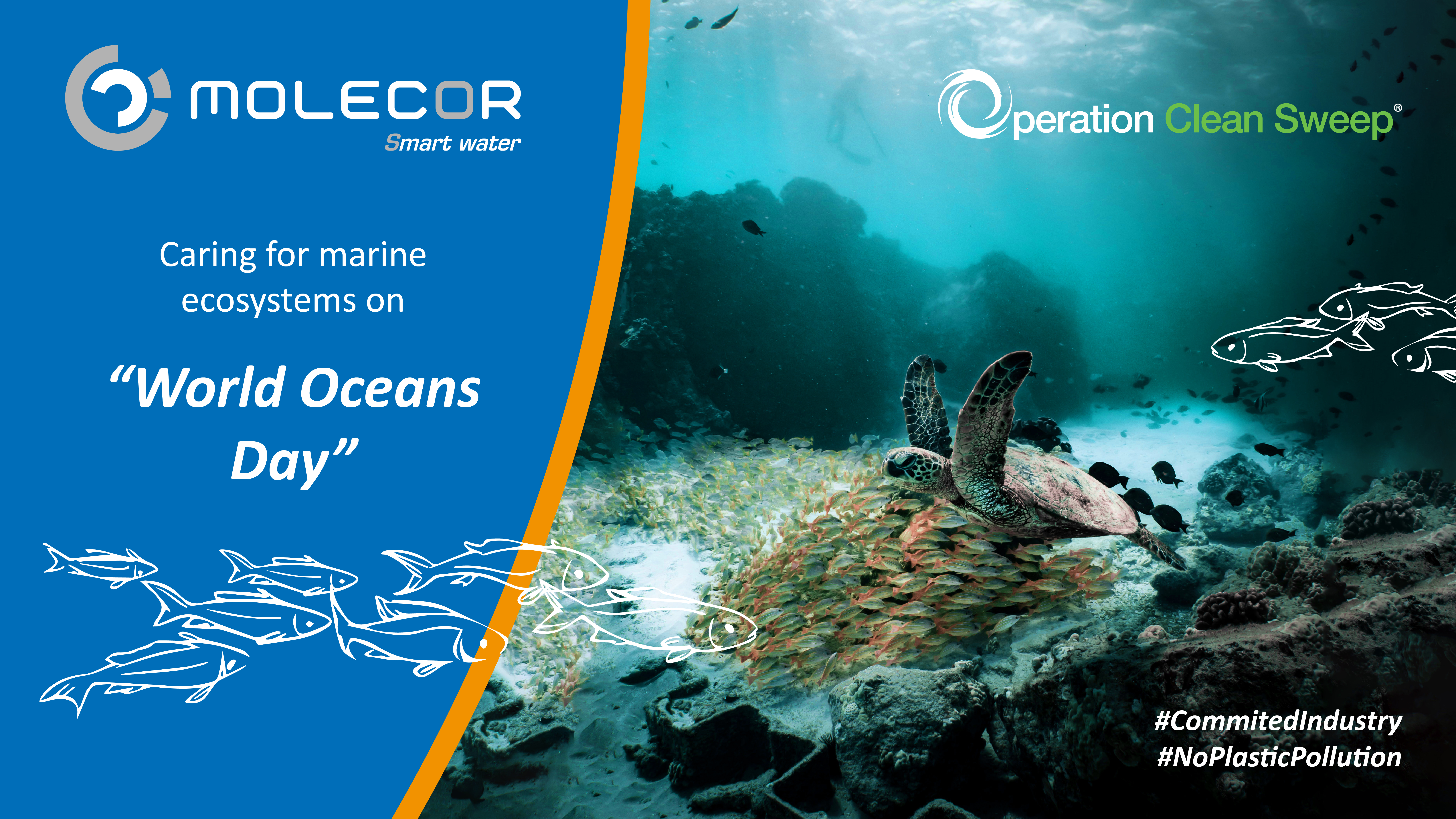 Molecor joins the cause to protect marine ecosystems on “World Oceans Day” thanks to the Operation Clean Sweep programme