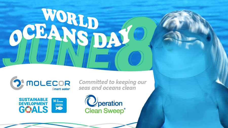 World Oceans Day