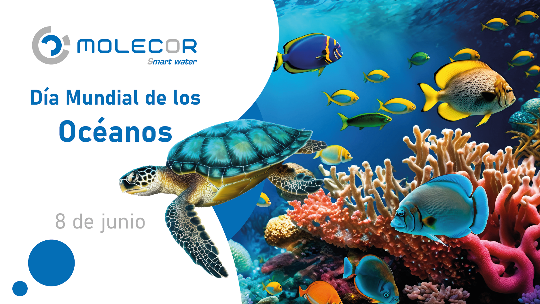 oceanos