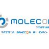 La nueva Molecor: una gama completa de soluciones de calidad, eficientes y sostenibles al servicio del agua
