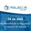 Molecor celebra el Día Mundial de la Seguridad y la Salud en el Trabajo