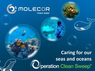 Molecor joins the cause to protect marine ecosystems on “World Oceans Day” thanks to the Operation Clean Sweep programme
