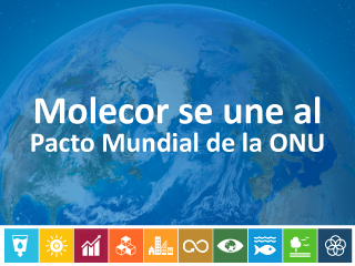 Pacto Mundial Pacto Mundial
