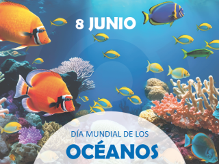 Compromiso con los océanos: Molecor y OCS trabajando por evitar la pérdida de microplásticos Compromiso con los océanos: Molecor y OCS trabajando por evitar la pérdida de microplásticos