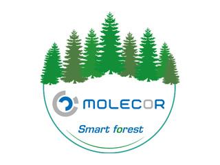 MOLECOR Forest. Contribución al Cuidado del Planeta a través de la Reforestación MOLECOR Forest. Contribución al Cuidado del Planeta a través de la Reforestación