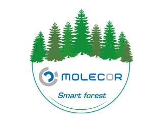 MOLECOR Forest. Contribuição para o Cuidado do Planeta através da Reflorestação