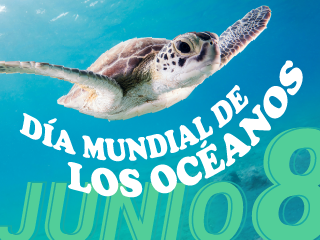 oceanos español oceanos español